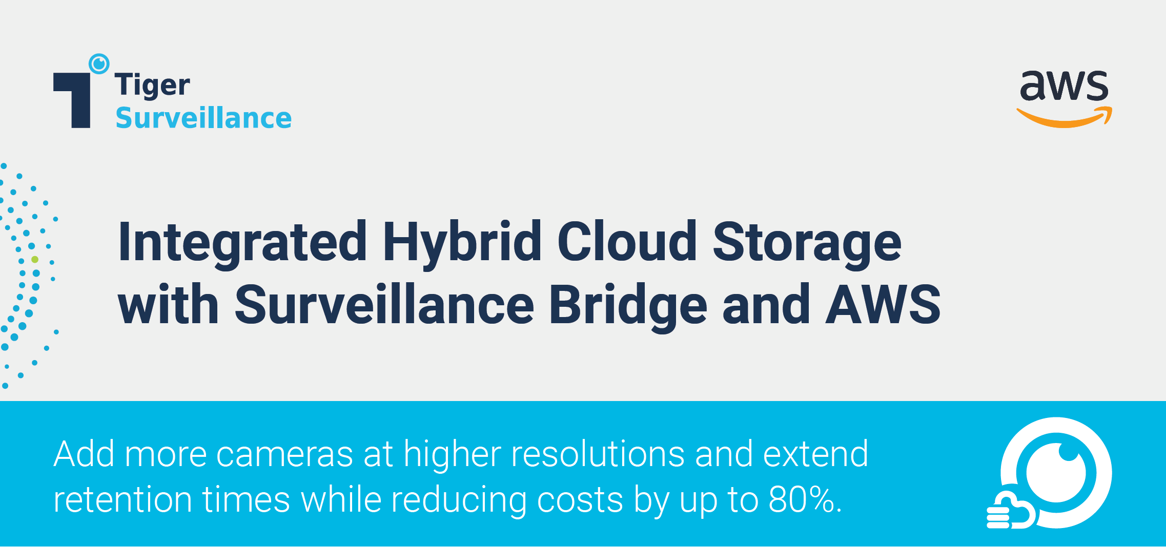 Tiger Surveillance Bridge with AWS